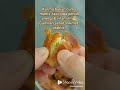order di link bio solusi cemilan sehat kurma berkualitas manis alami.