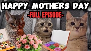 CAT MEMES: THE MOTHERS DAY ROADTRIP