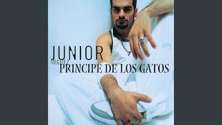 Video thumbnail of "Junior Miguez - Príncipe De Los Gatos"