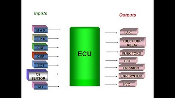 ECU INPUT and OUTPUT