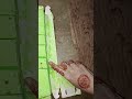 pista ice cream #youtubeshorts #viralvideo #sadmusic #viralreels #youtubechannel #trendingreels