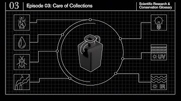 Zorg voor collectie: Woordenlijst