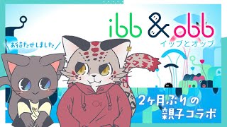【コラボ】子猫とユキヒョウの猫猫親子コラボ！20250822【ibb & obb】