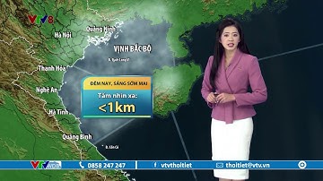 Dự báo thời tiết biển ngày 10/2/2023 | Vịnh Bắc Bộ đêm nay, sáng sớm mai có sương mù | VTVWDB