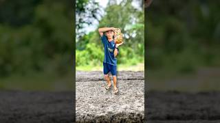 Creative Photography And Videography Pikul Buah Murbei🤣