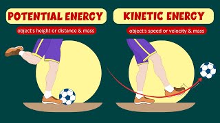 Potential and kinetic energy  Law of conservation of energy  Video for kids