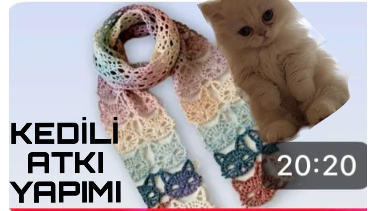 PINTEREST IN UNLU KEDİLİ ATKISI 