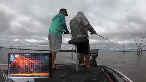 Crappie fishing timber Garmin LiveScope 6/7/19