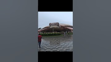 Vinwonder | Biểu diễn nàng tiên cá thủy cung Phú Quốc | Lê Ngọc Trâm Anh