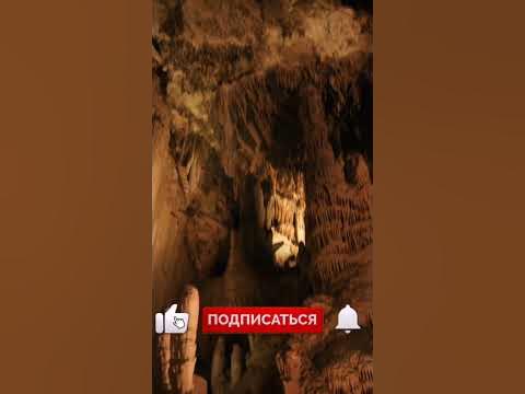 Самый редкий музыкальный инструмент #shorts - YouTube