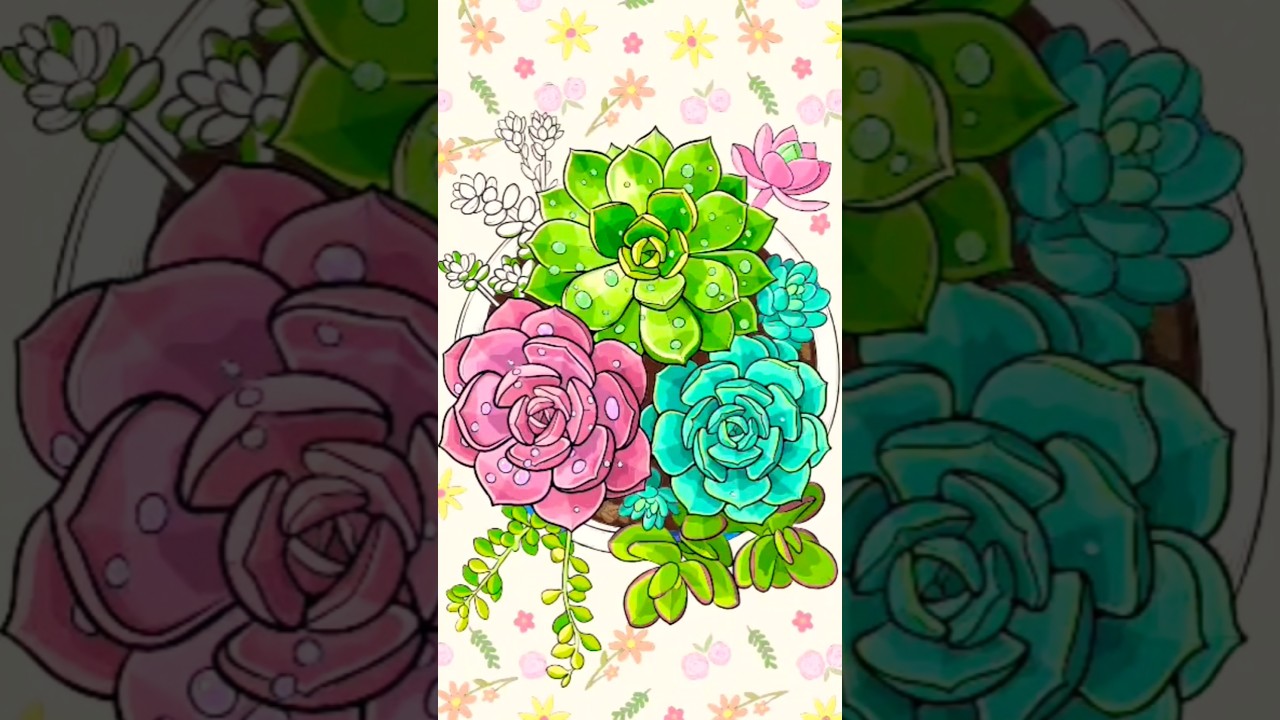 Succulent plants coloring process 