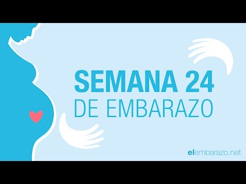 Vídeo: 24 Semanas De Embarazo: Feto, Dolor, Barriga