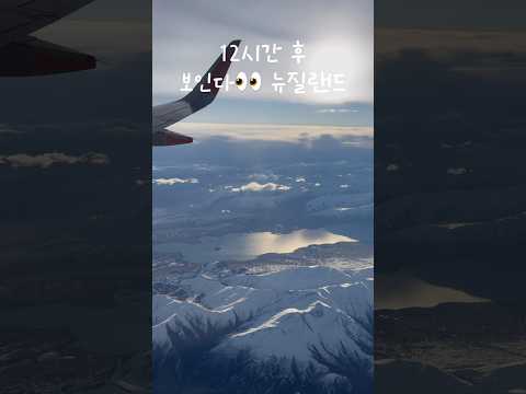 여행 하루 전 짐 싸는 극P의 뉴질랜드 출발기🇳🇿
