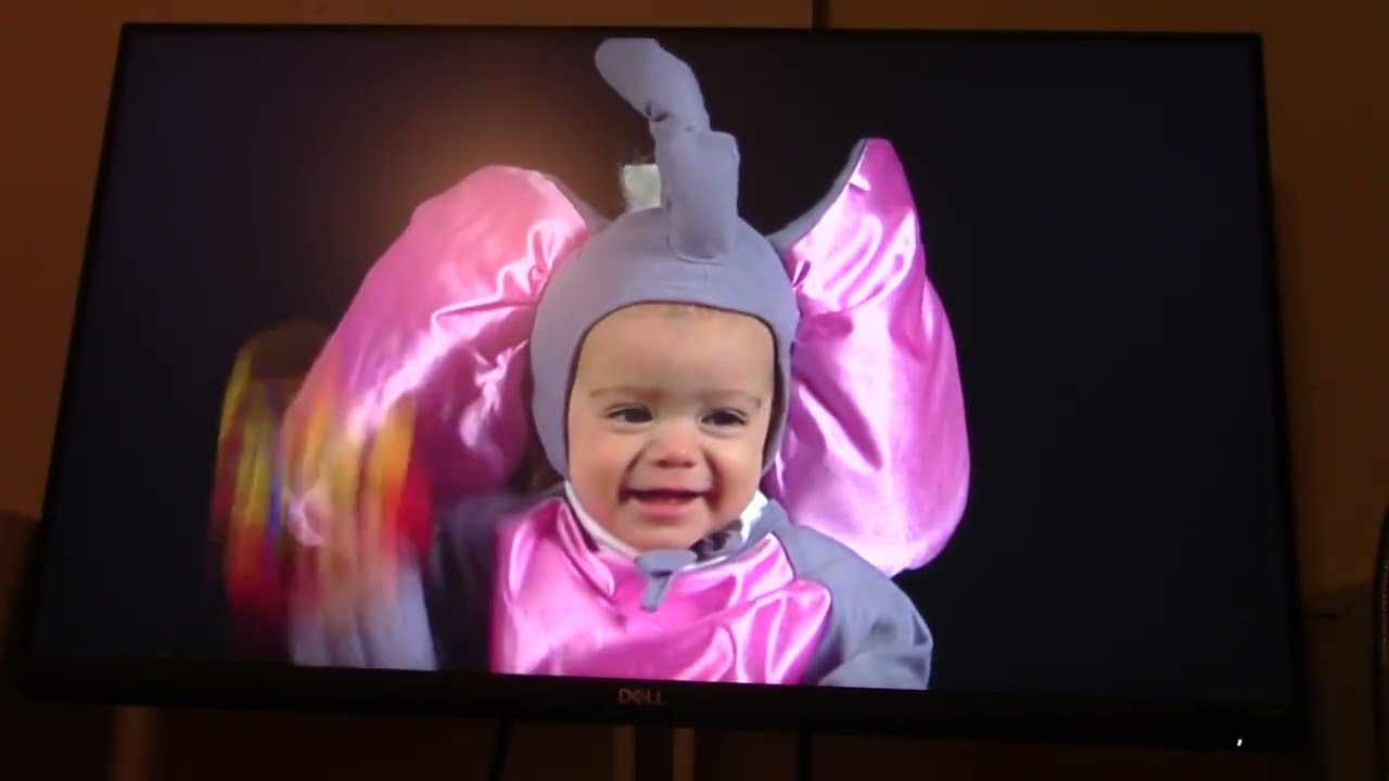 Baby Einstein in July Season 2 Episode 10: Baby Dolittle's World Animals