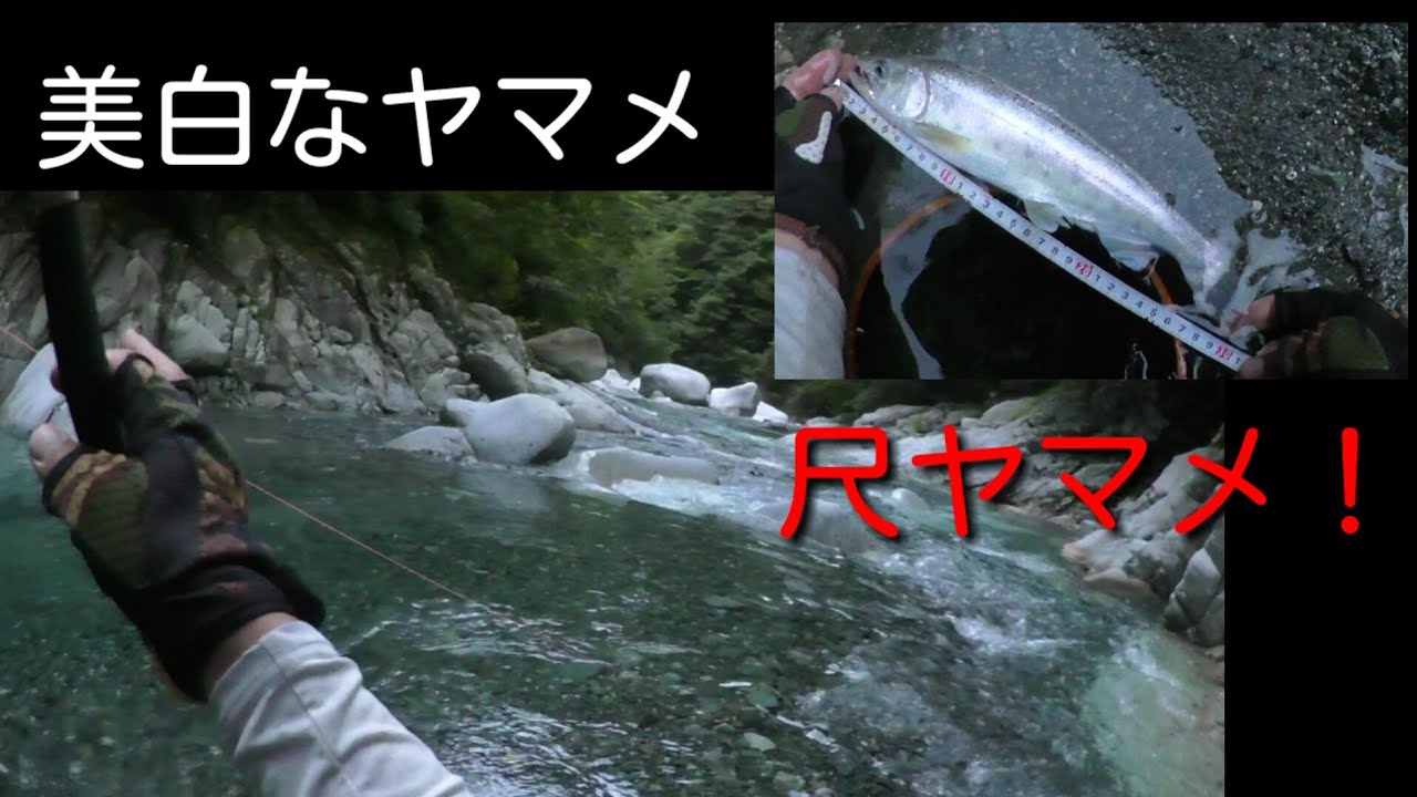 テンカラで尺ヤマメを釣った 海 沖 磯 川 湖 釣り動画まとめサイト 爆釣りマニア