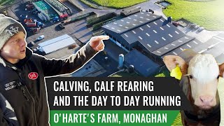 Calving, Calf Rearing and The Day to Day Running of a Robotic Dairy Farm at O'Harte's Farm, Monaghan