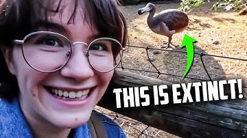They Actually Brought Back the Mammoth?! | AI Extinct Zoo Tour 🦣🦕