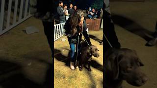 Kute nasli #love #pakistan #shots #eidedition @YouTube
