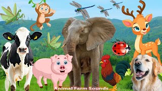 Farm Animals, Animal Sounds: Dog, Chicken, Pig, Deer, Elephant, Ladybug, Dairy Cow - Animal moments