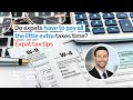 Do expats have to pay all the little extra taxes at tax time? Expat tax tips