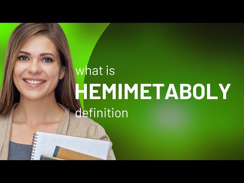 Video: ¿Qué significa hemimetaboly?