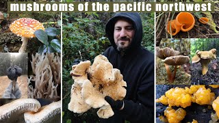 FINDING MONSTER MUSHROOMS ON OUR LAND!
