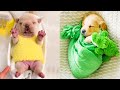 Baby Dogs - Cute and Funny Dog Videos Compilation #45 | Aww Animals