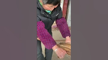 #fun #science #technology #engineering #trending #trendingshorts #music