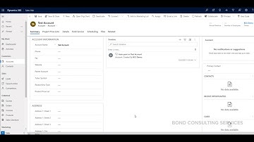 Dynamics 365 Sales | Accounts & Contacts
