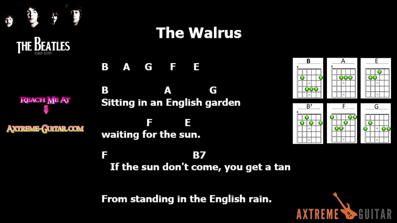 I Am the Walrus, The Beatles, Lyrics & Chords #subscribe #trending #viral #like #fyp #foryou #music
