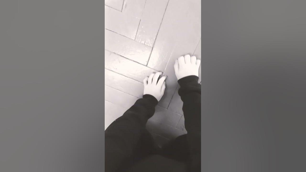 что видит 🐾квадробир🐾 - YouTube