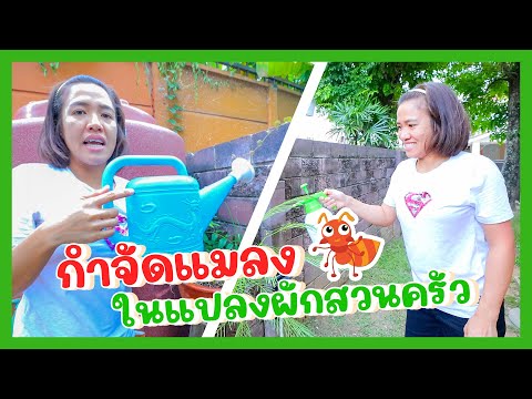 YimYamFamily | แม่ปุ๋ยกำจัดแมลงในพืชผักสวนครัว