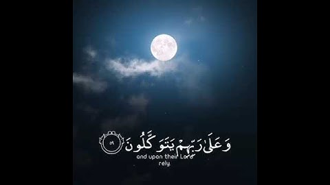 الذين صبروا وعلى ربهم يتوكلون | القارئ عبدالرحمن مسعد