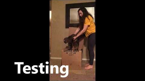 ALA 100 design challenge 2