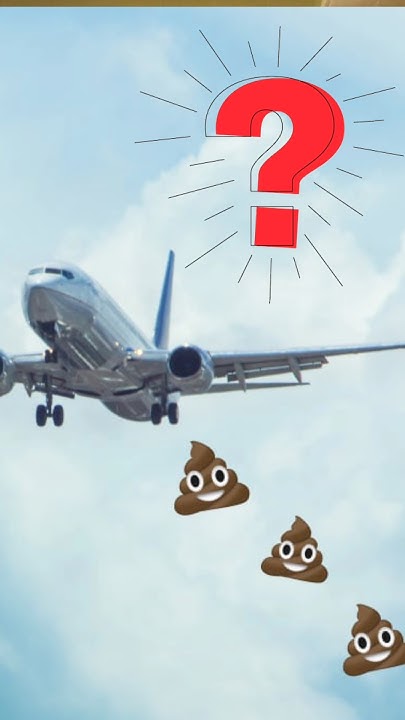 where-does-the-toilet-waste-go-on-a-plane-youtube
