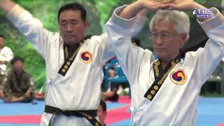 Kukkiwon 9th Dan Association Demonstration 2018