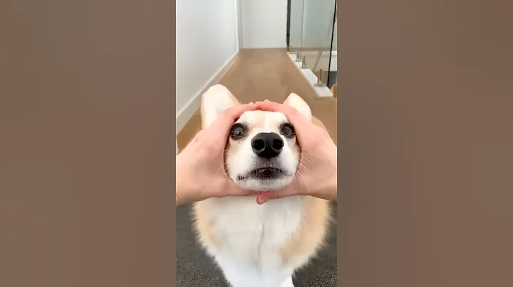 Introducing the"😍VitaWear SmartBand," a next-generation wearable gadget