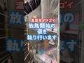 【オカメインコ】温度差がスゴイ！放鳥開始の儀を執り行います❤️ #温度差エグ