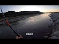 漂流釣法釣高鯓鯝魚,竟然第一竿就中魚,竟然這麼好釣?? #南投小江 #釣魚 #烏溪 #本流 #霞面