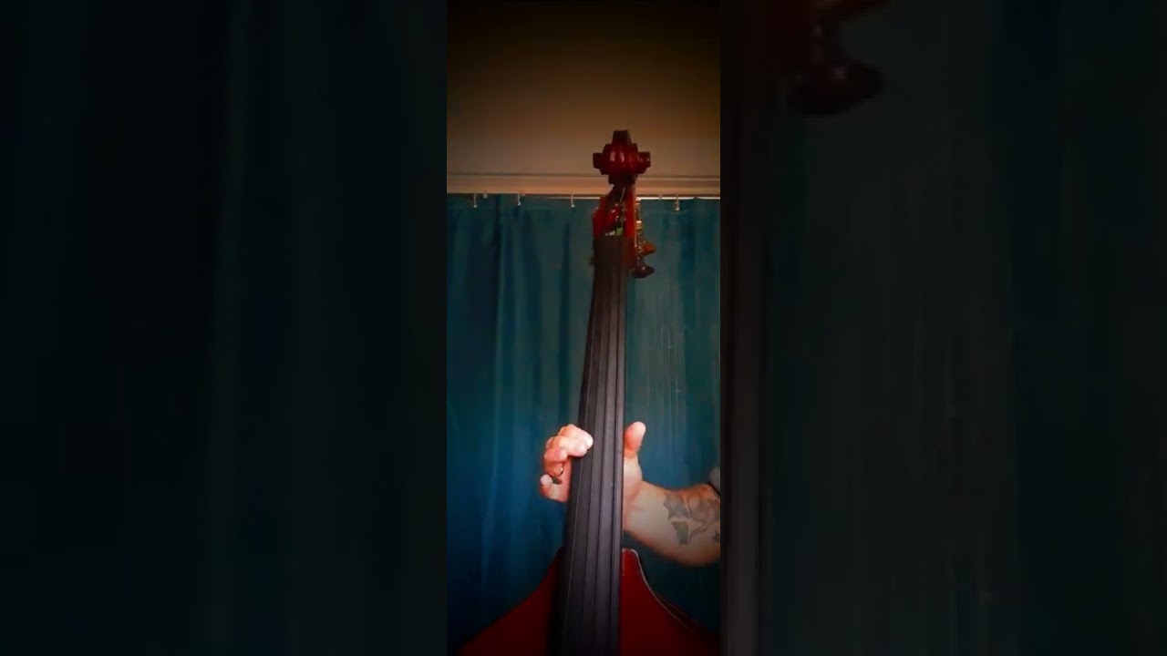 Double Bass - Innovation Rockabilly vs Silver Slaps | TalkBass.com