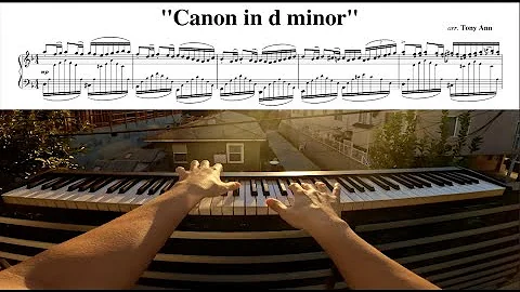 tony ann - canon in d minor