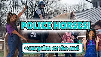 Police Horse Field Trip for Kids | Meet a Real Park Police Officer & Her Horse! | Miss Michy