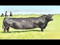 दुनिया के सबसे अनोखे जानवर, देखकर यकीन नहीं होगा | You Won’t Believe These 4 Unique Animals