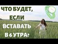 ВЫЗОВ СЕБЕ: КАК просыпаться РАНО?