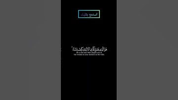 سورة آل عمران (إن الله لا يخفى عليه شيء في الارض ولا في السماء) بصوت #ياسر_الدوسري #قرآن #قران_كريم