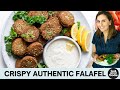 Authentic lebanese falafel  fry  bake methods
