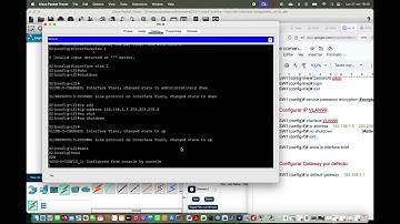 Módulo 2: Configuración básica de switches y termianles Parte 6