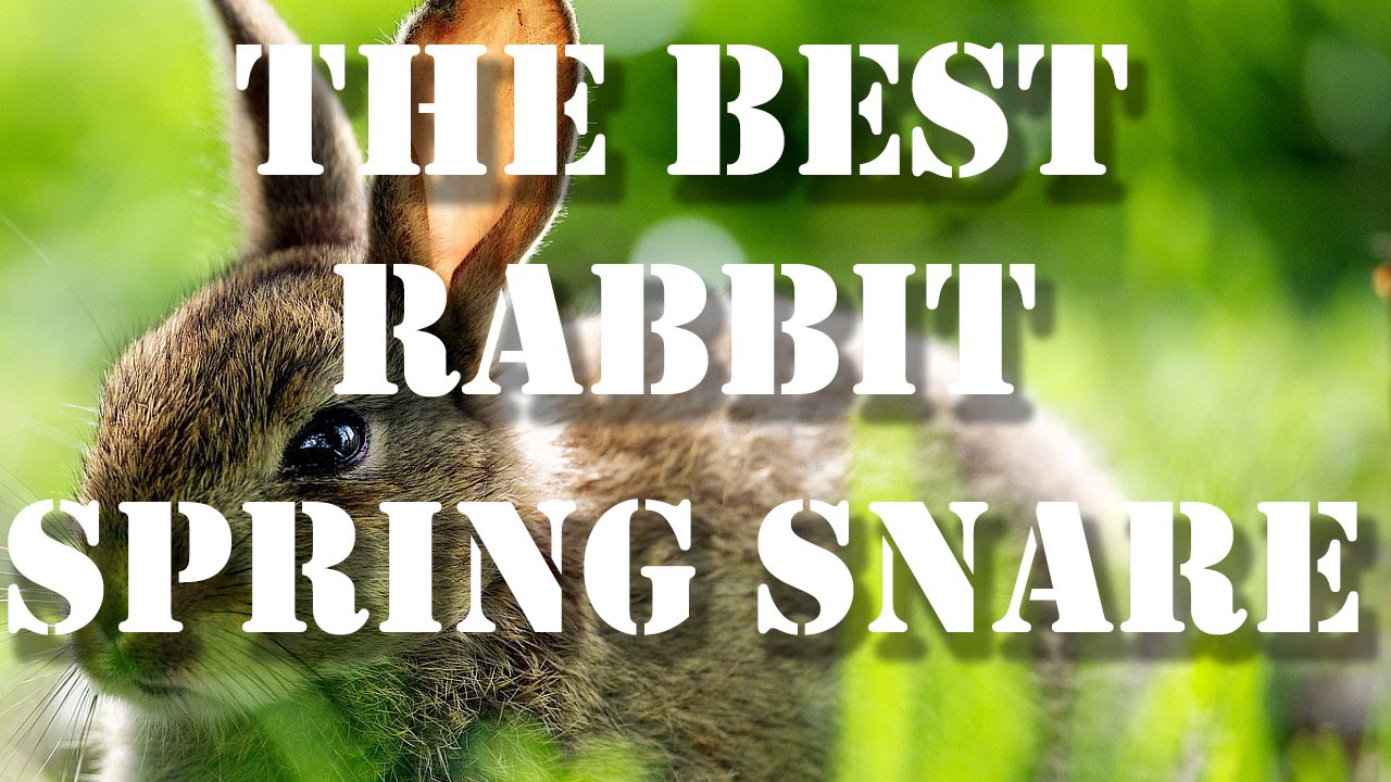 How To Make a Spring Snare - YouTube