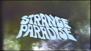 Facing the Strange Paradise Lyrics