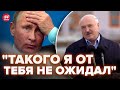 🔥Это заявление Лукашенко шокировало Путина